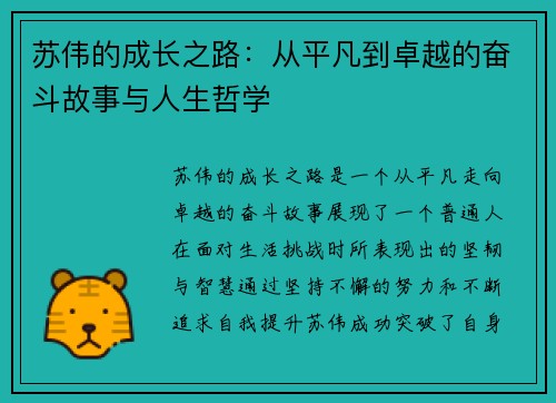 苏伟的成长之路：从平凡到卓越的奋斗故事与人生哲学