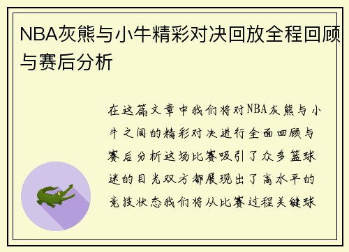 NBA灰熊与小牛精彩对决回放全程回顾与赛后分析