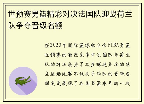 世预赛男篮精彩对决法国队迎战荷兰队争夺晋级名额